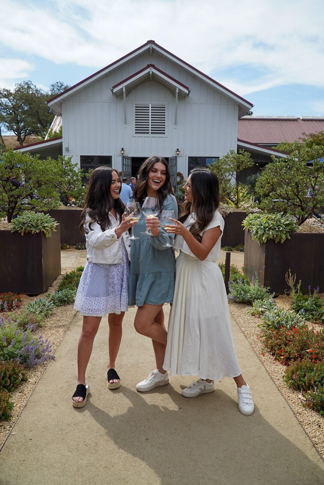 Four wine glasses of Rose cheersing.